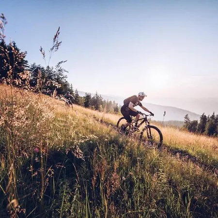 Grandma's House Radlje ob Dravi