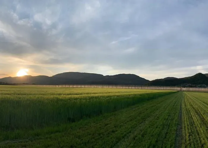 Grandma's House Feriehus