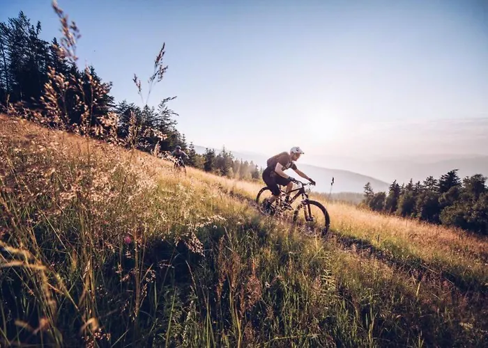 Grandma's House Radlje ob Dravi