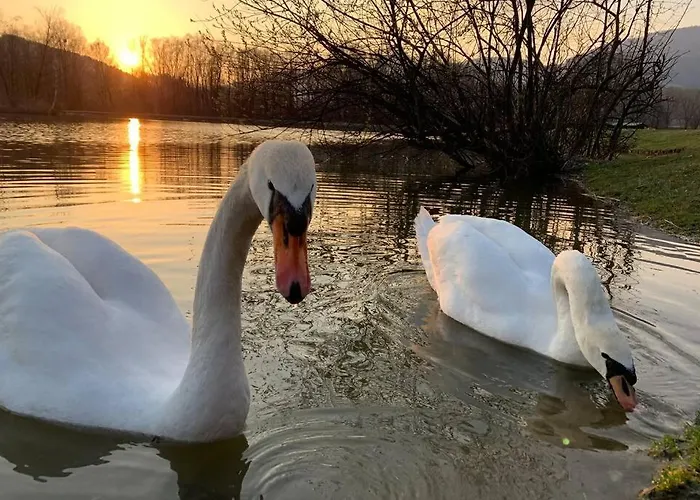 Feriehus Grandma's House Radlje ob Dravi